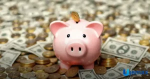 How to Save Money Fast on a Low Income: Surprising Tips
